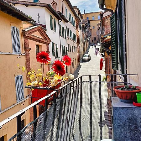 La Campanina-Nel Cuore Di Siena E Della Contrada Luaran gambar
