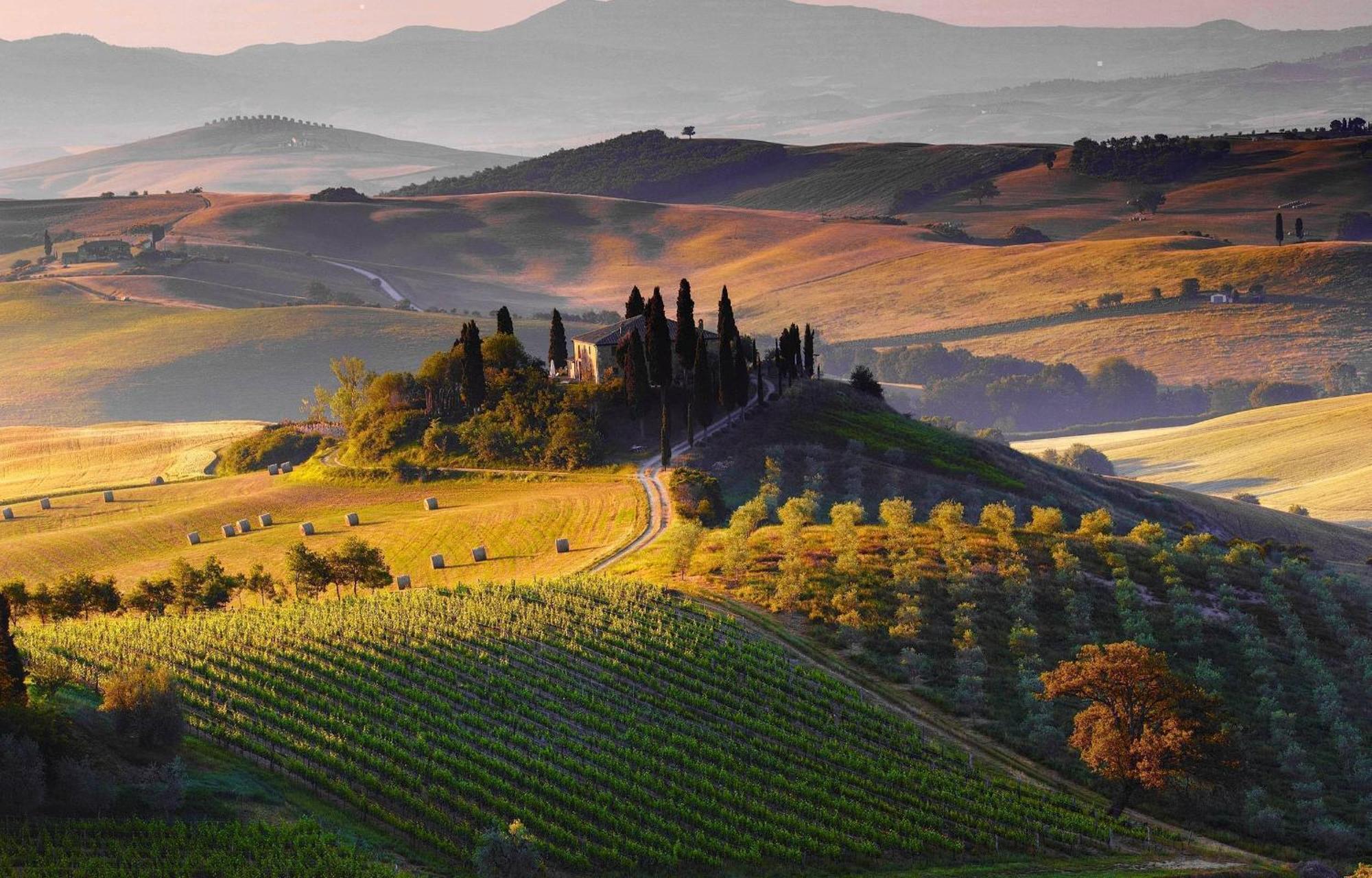 La Campanina-Nel Cuore Di Siena E Della Contrada Luaran gambar
